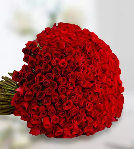 Lush Bouquet Flowers Lush Bouquet Flowers