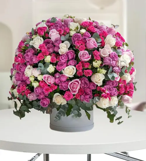 Celestial Blooms Celestial Blooms