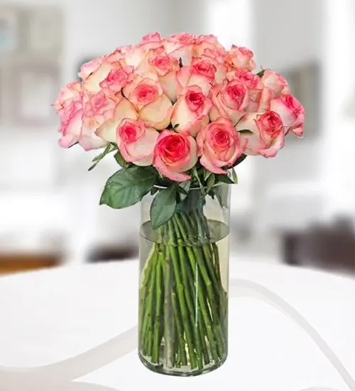 Pink Rose Splendor Arrangement Pink Rose Splendor Arrangement