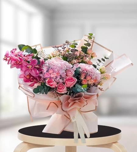 Blushing Elegance Cymbidium Blushing Elegance Cymbidium