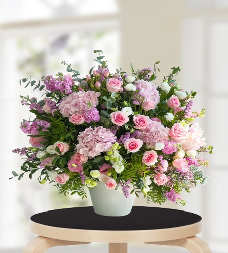 Blush Symphony Blush Symphony