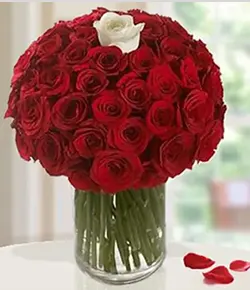 Wild Roses