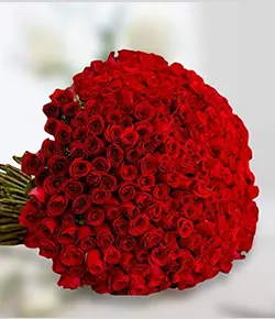 Lush Bouquet Flowers