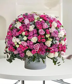 Celestial Blooms