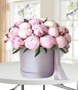 Pink Peony in a box